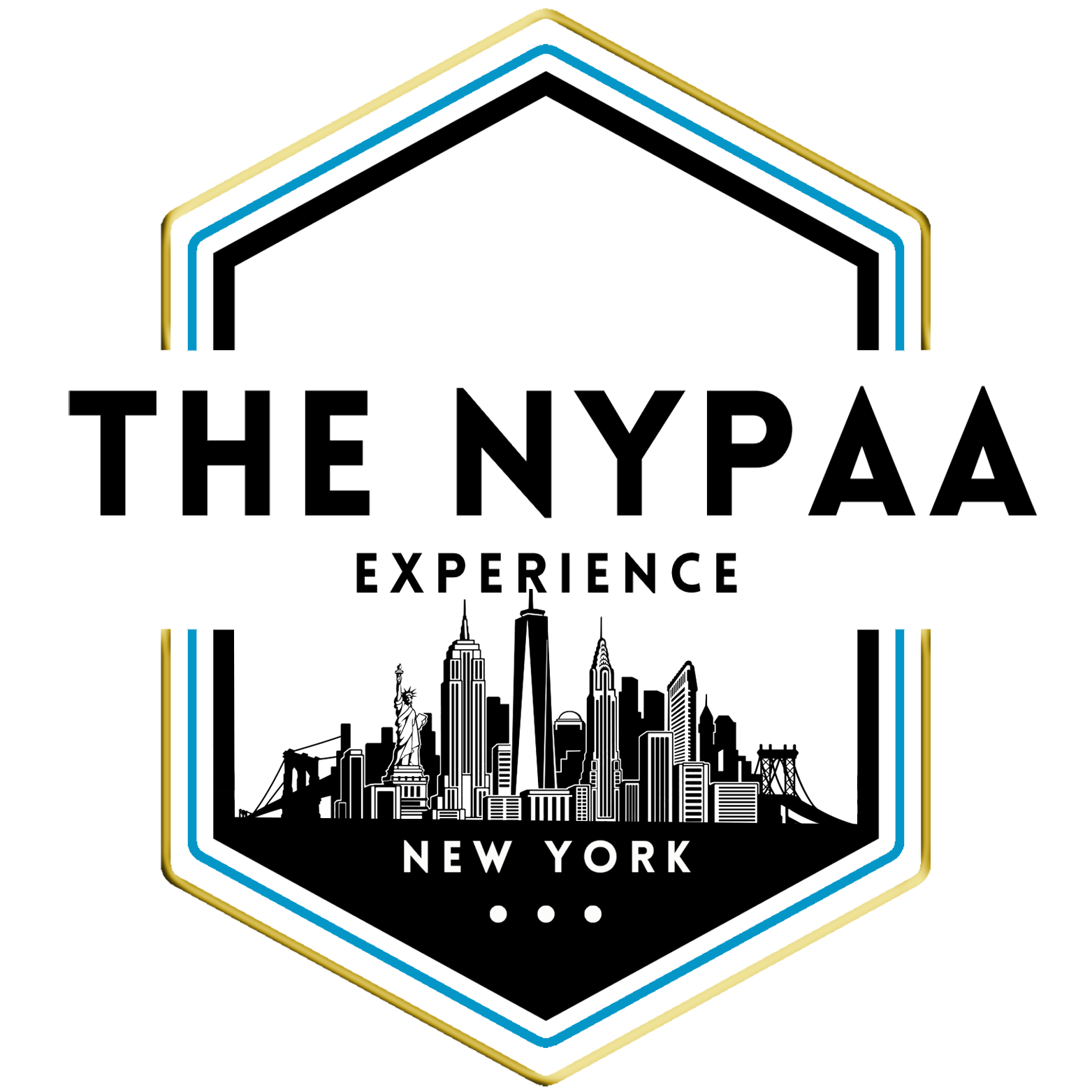 The NYPAA Experience
